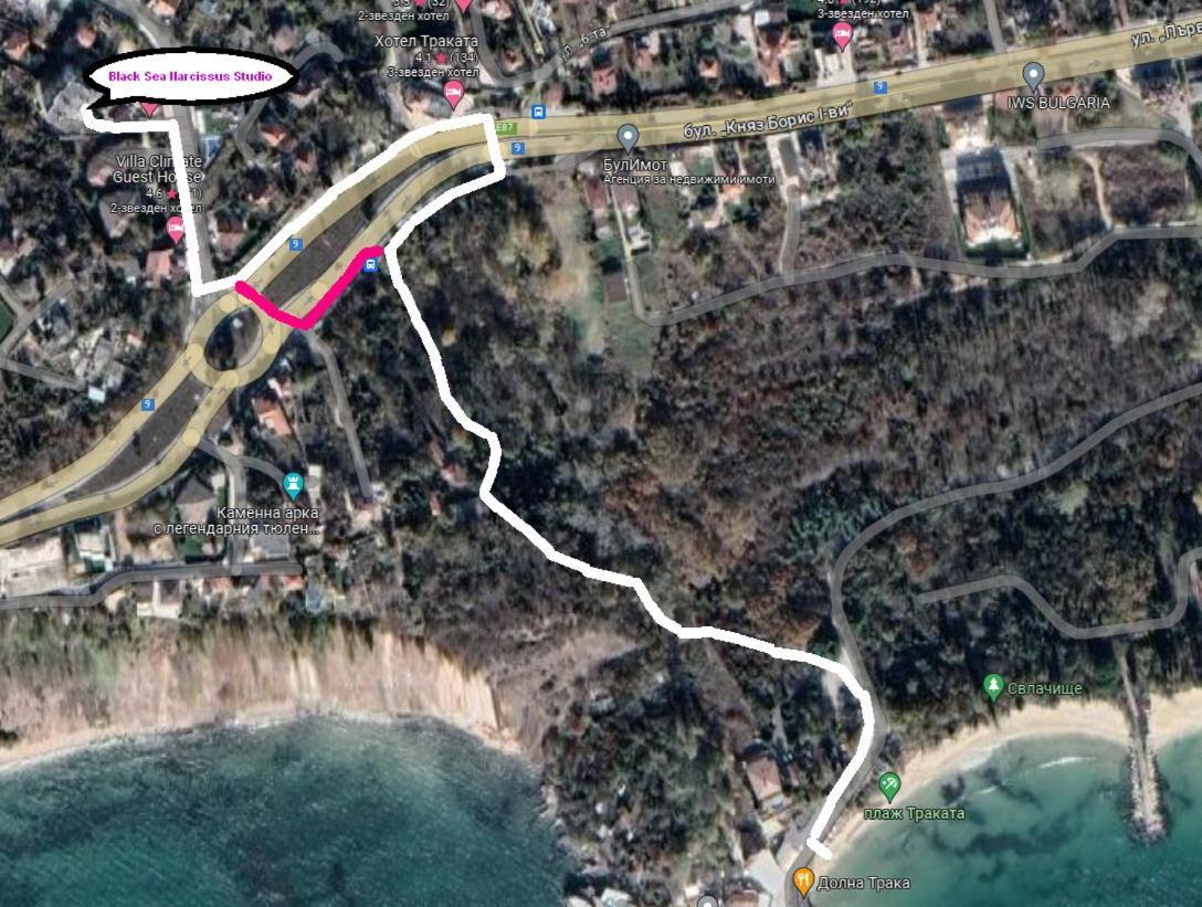 Black Sea Narcissus - Quiet Studio With Amazing Sea View Varna Eksteriør billede